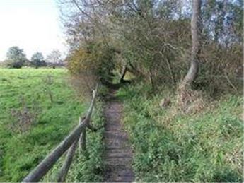 Kingfisher Test Way Walk